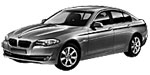 BMW F10 U265U Fault Code